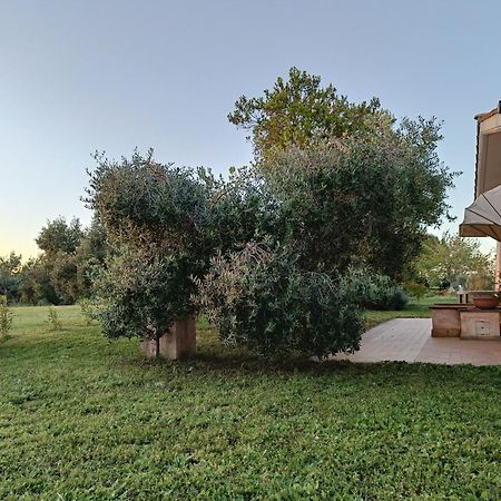 Agriturismo Fontelupo Bracciano  Exteriör bild