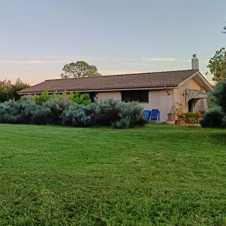 Agriturismo Fontelupo Bracciano  Exteriör bild