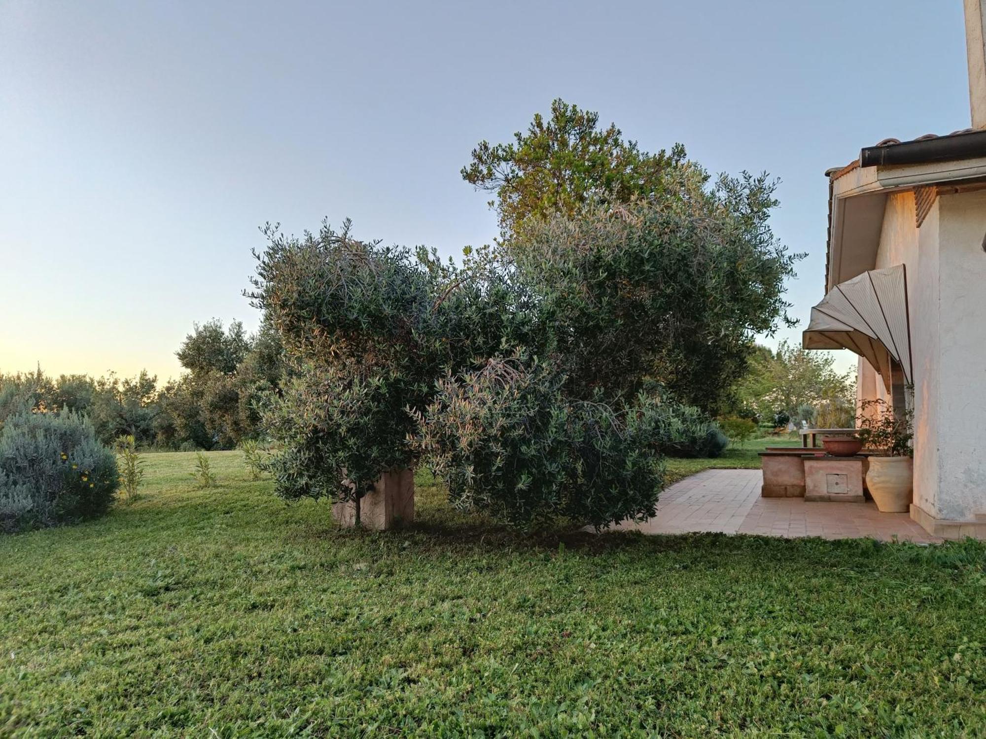Agriturismo Fontelupo Bracciano  Exteriör bild