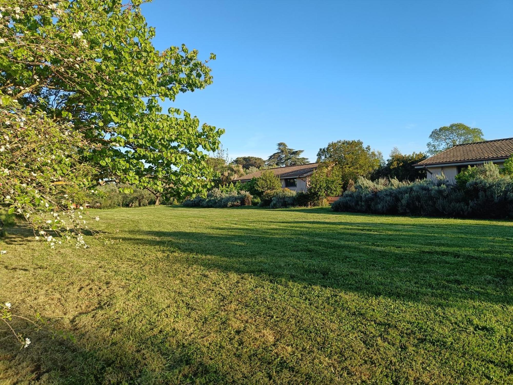 Agriturismo Fontelupo Bracciano  Exteriör bild