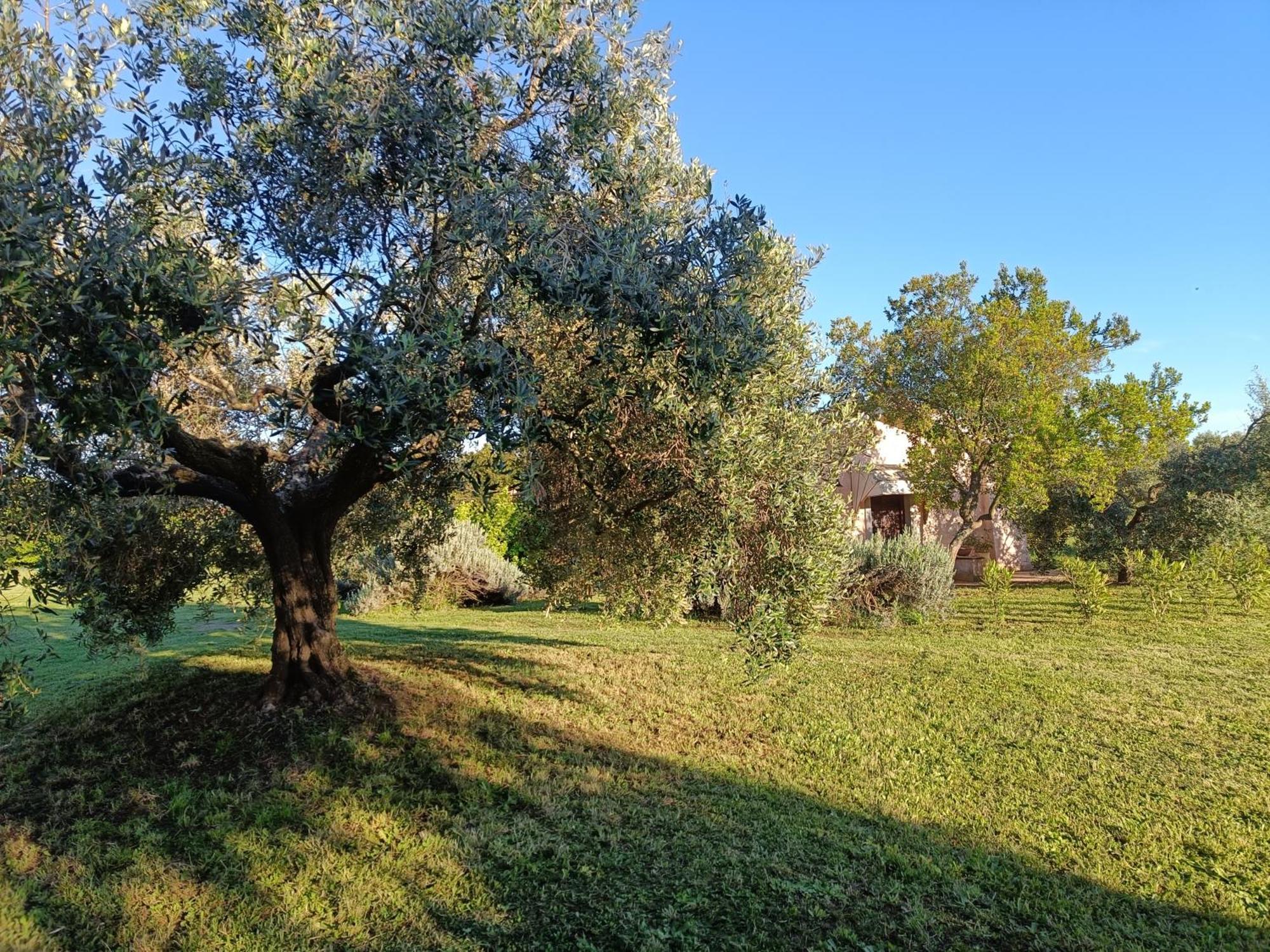 Agriturismo Fontelupo Bracciano  Exteriör bild