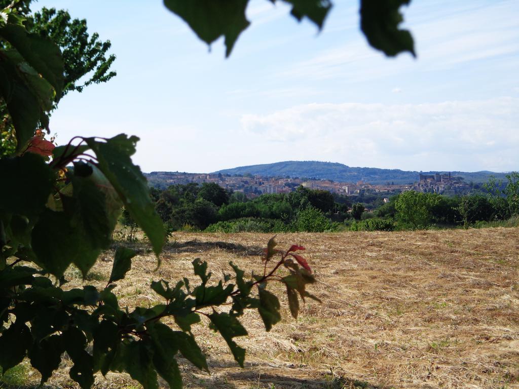 Agriturismo Fontelupo Bracciano  Exteriör bild